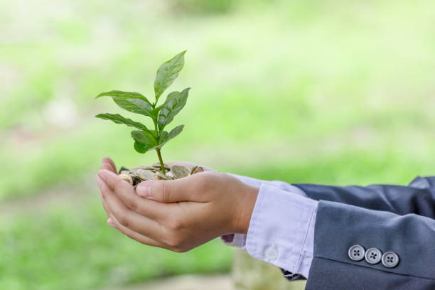 business man hands hold coffee plant growing in coins. care of the environment. ecology concept - 自然语言 個照片及圖片檔